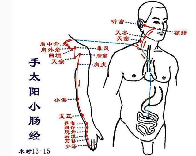 实用|人体经络穴位治百病,很全,很实用,先收藏了吧!