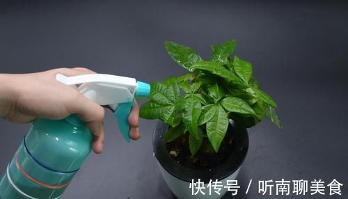 家里有养花的抓紧看看，学会这招，不烂根不生虫，花草越长越茂盛