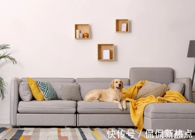 明如|护航美好生活，让幸福触手可及