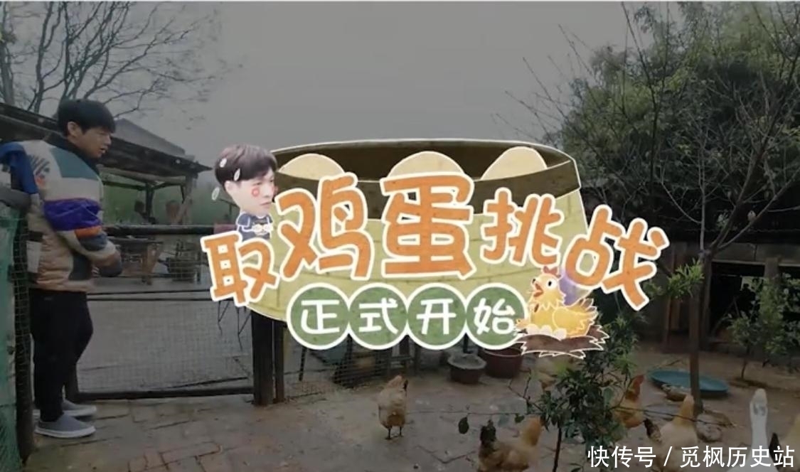 何老师 看张艺兴是如何一步一步被“骗”进鸡窝的?