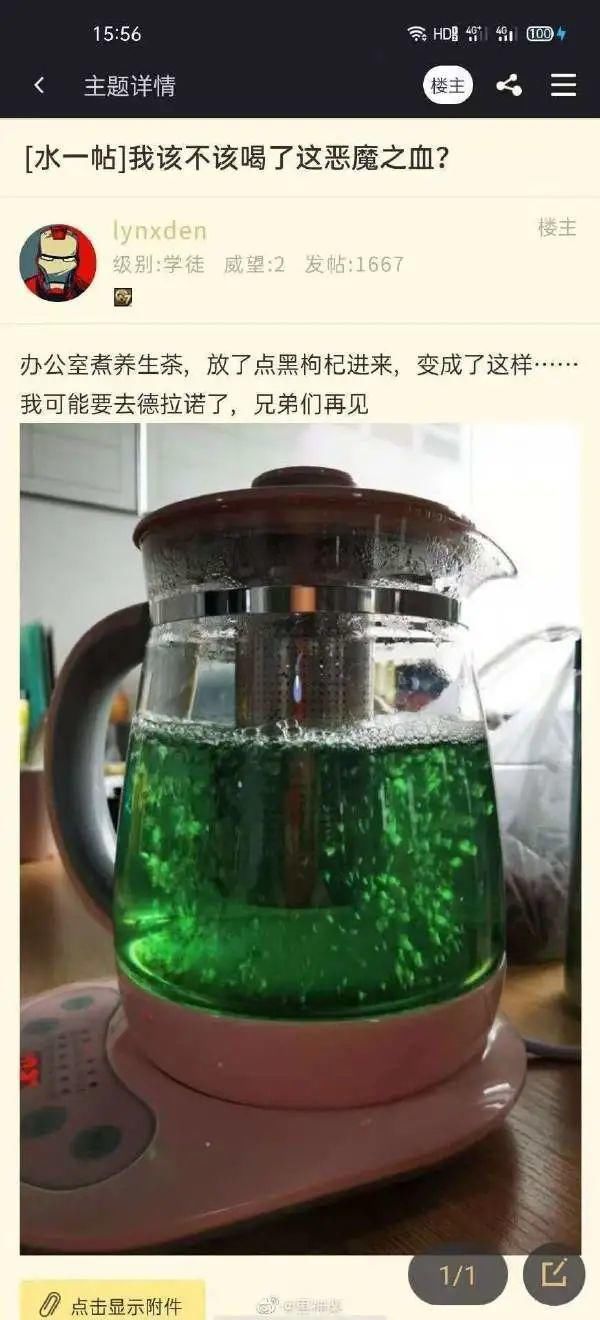 啤酒瓶|这真的不是盗墓贼带进去的啤酒瓶和啤酒瓶盖吗？