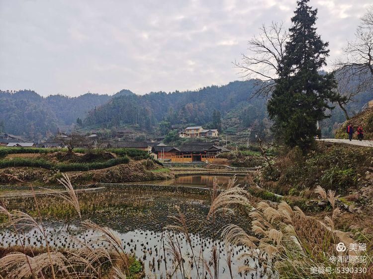 神秘湘西过大年：做客国茶村