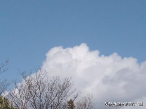 春节行程--大余县游仙村