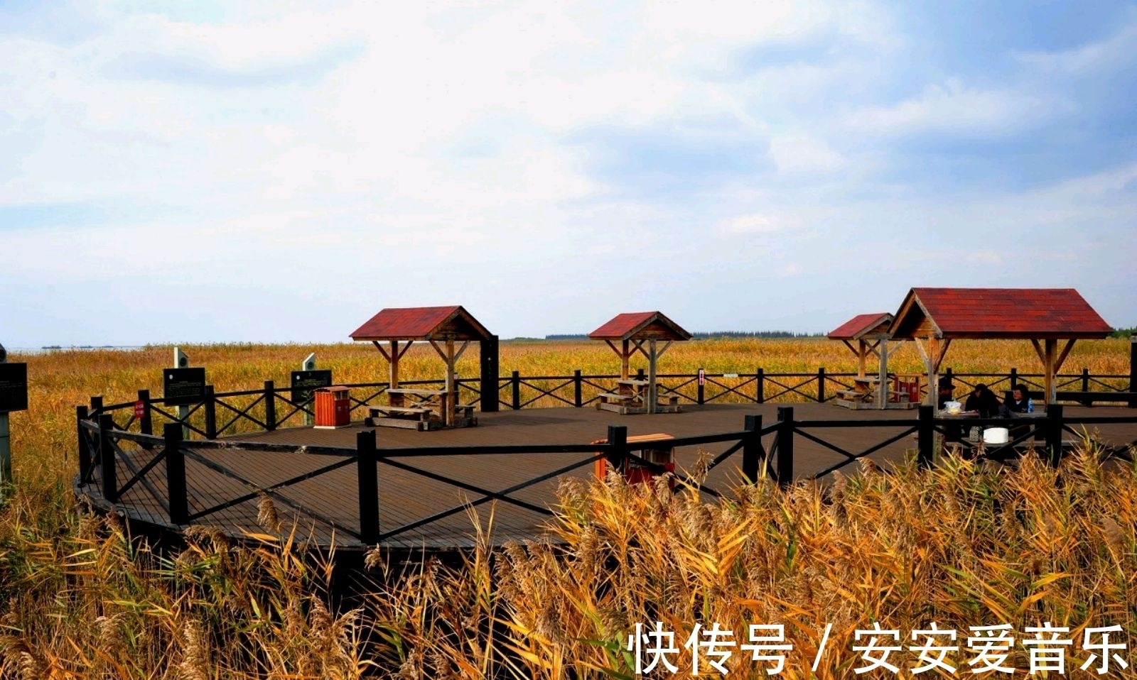 美景|上海知名“江岛美景”，地域广阔、物产丰富，是上海“鱼米之乡”