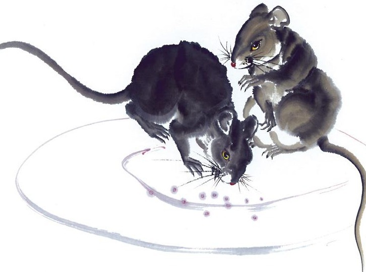 十二生肖|“老鼠偷吃粮”，家中有老鼠，为何会被视为一种吉祥