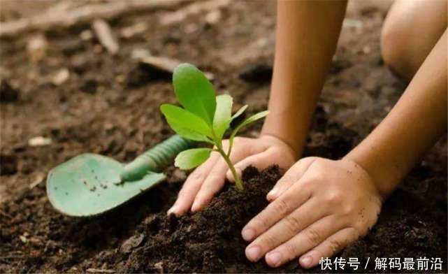 蚂蚁森林 “基建狂魔”又一伟大创举,千年沙漠即将消失,西方国家不敢相信