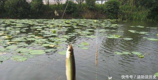 梅雨天如何作钓？了解这3点细节过后，你还会担心“空军”吗？