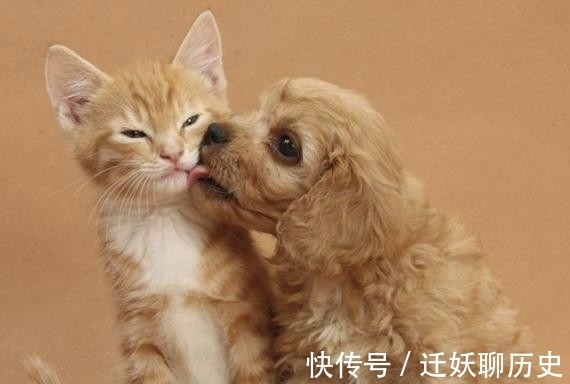 |搞笑图片:爱情面前,啥都不是问题!