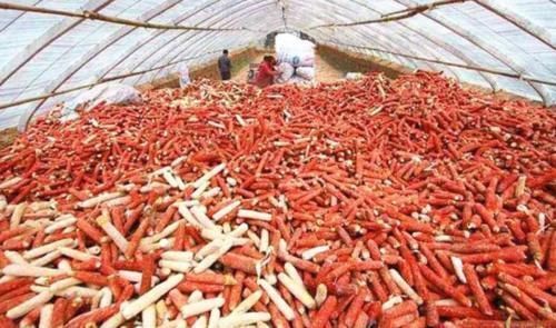 胆固醇|中国人丢掉的垃圾,在国外却是“顶级食材”,中国吃货失策了