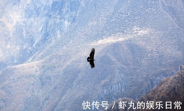 华为|任正非想当“甩手掌柜”遭抵制，他讲了一个故事，获众人纷纷赞同