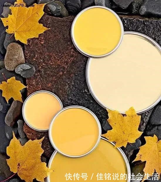 酒庄红 202122秋冬女装流行色趋势!