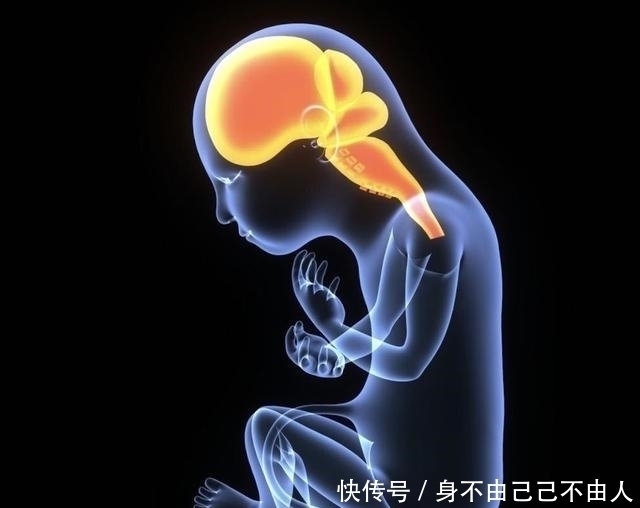 胎儿脑发育有3个高峰期，孕妈坚持做好3件事，生个“高智商”宝宝