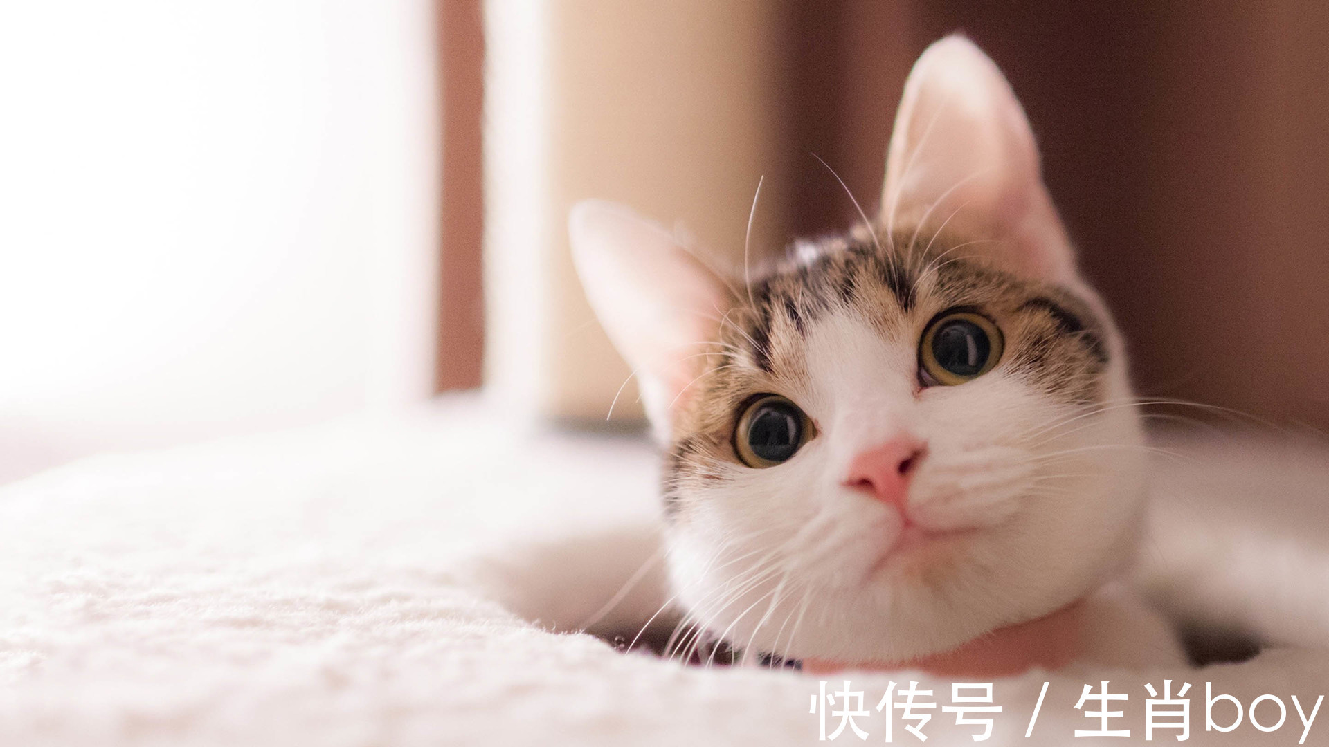 星座|能化解“社交恐惧症”的星座,和他们相处的时间越长,越是默契