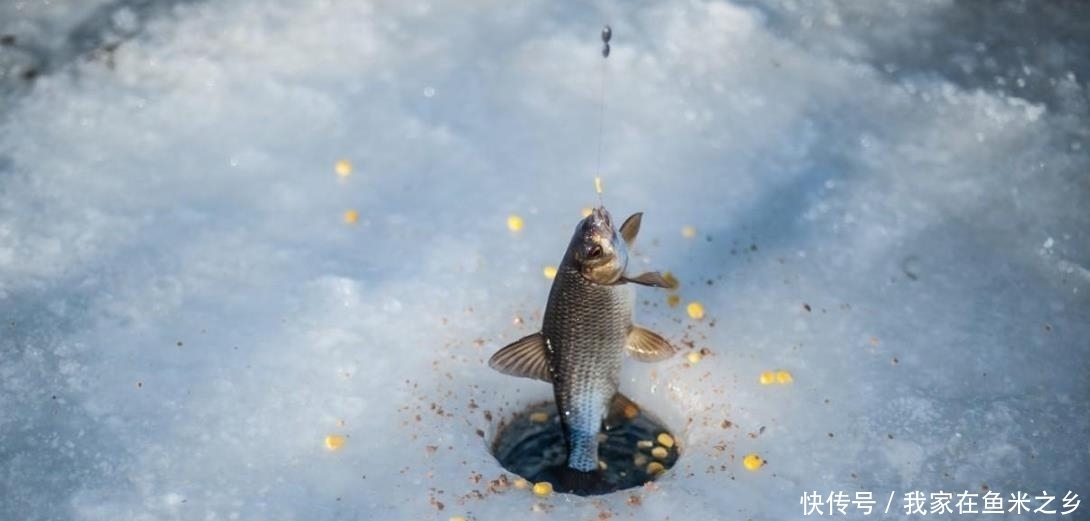 冬钓什么时候需要“钓半水”?难道深水不更暖吗?原因竟是这3点