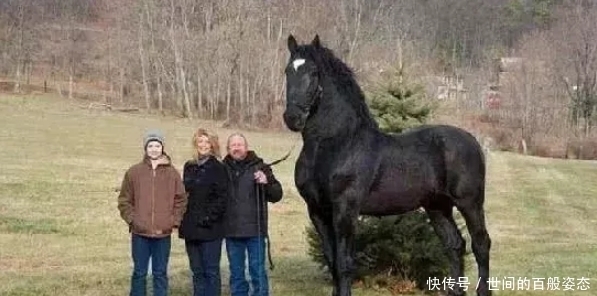 少女|吉尼斯世界之最:第三项是大多数未成年少女都喜欢的,网友:富婆