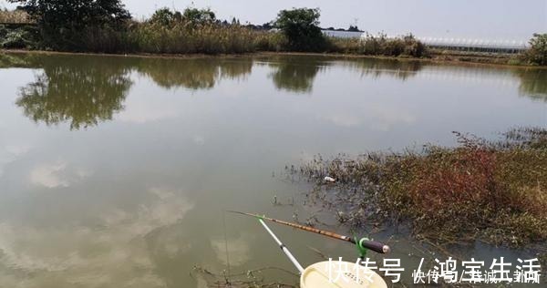 水温|冬季钓鱼,何时钓深何时钓浅?鱼窝这样找,深浅都上鱼!