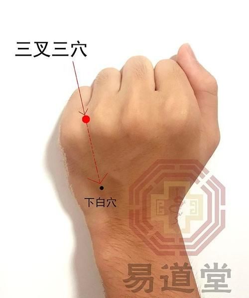 董氏奇穴三叉三穴治疗各类疾患的应用解密