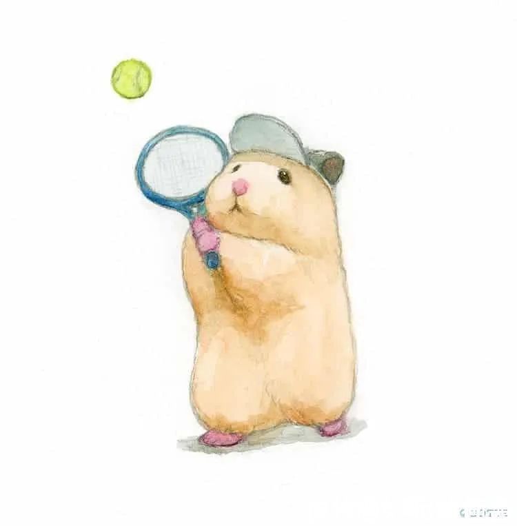 小仓鼠&他的插画主角是一只仓鼠,可爱的举动,萌到心都化了