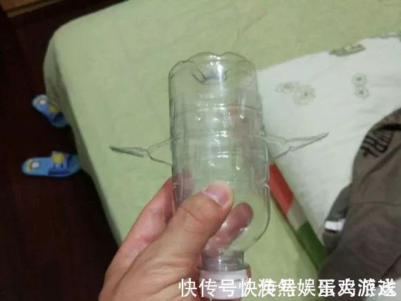 扦插|家庭养花,塑料瓶是“宝贝”,学会5个使用“小妙招”,一生受用