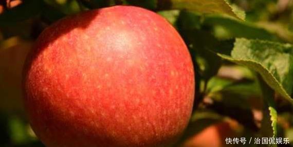 改善|人到中年想长寿,三种食物换着吃,美容养颜,改善体质,早吃早好