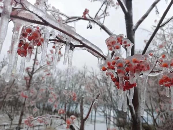 快乐|两个下雪热搜！南方大学生：是我体会不到的快乐...