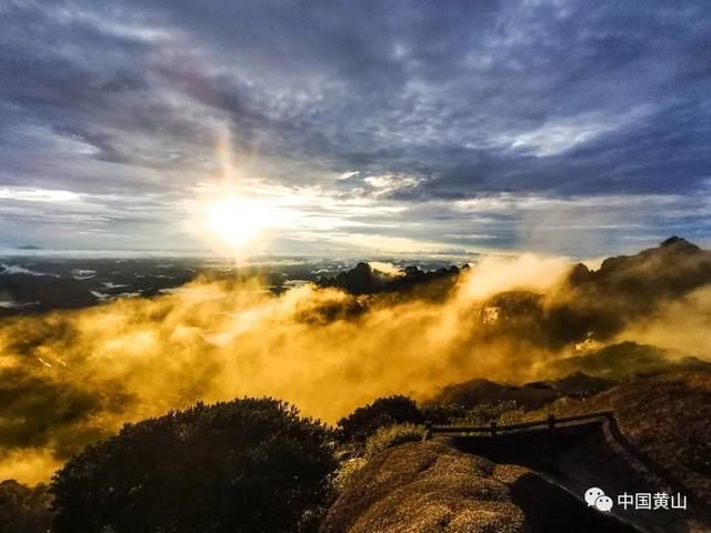 吴立新|云游雨后黄山 美景如画好似仙境