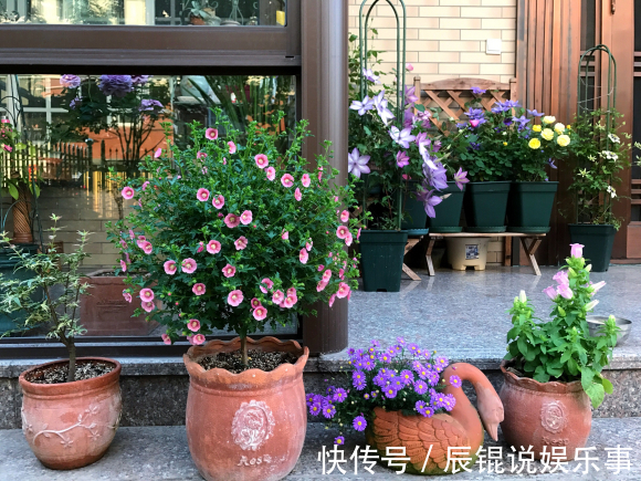 6种“垃圾”不要扔,拿来养花效果棒,省下一笔钱,废物又利用