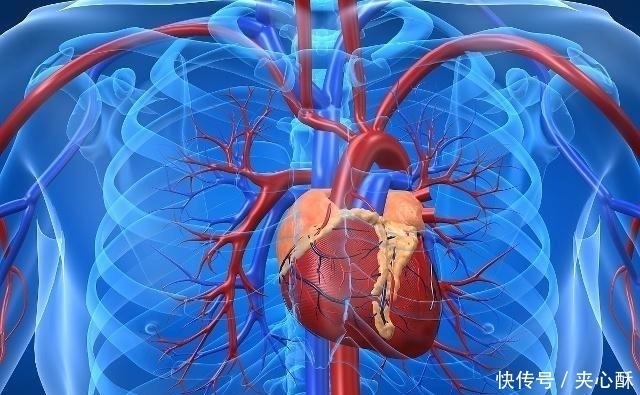 没事|它们是食品中的“阿司匹林”,没事多吃一些,让血管“焕发新生”