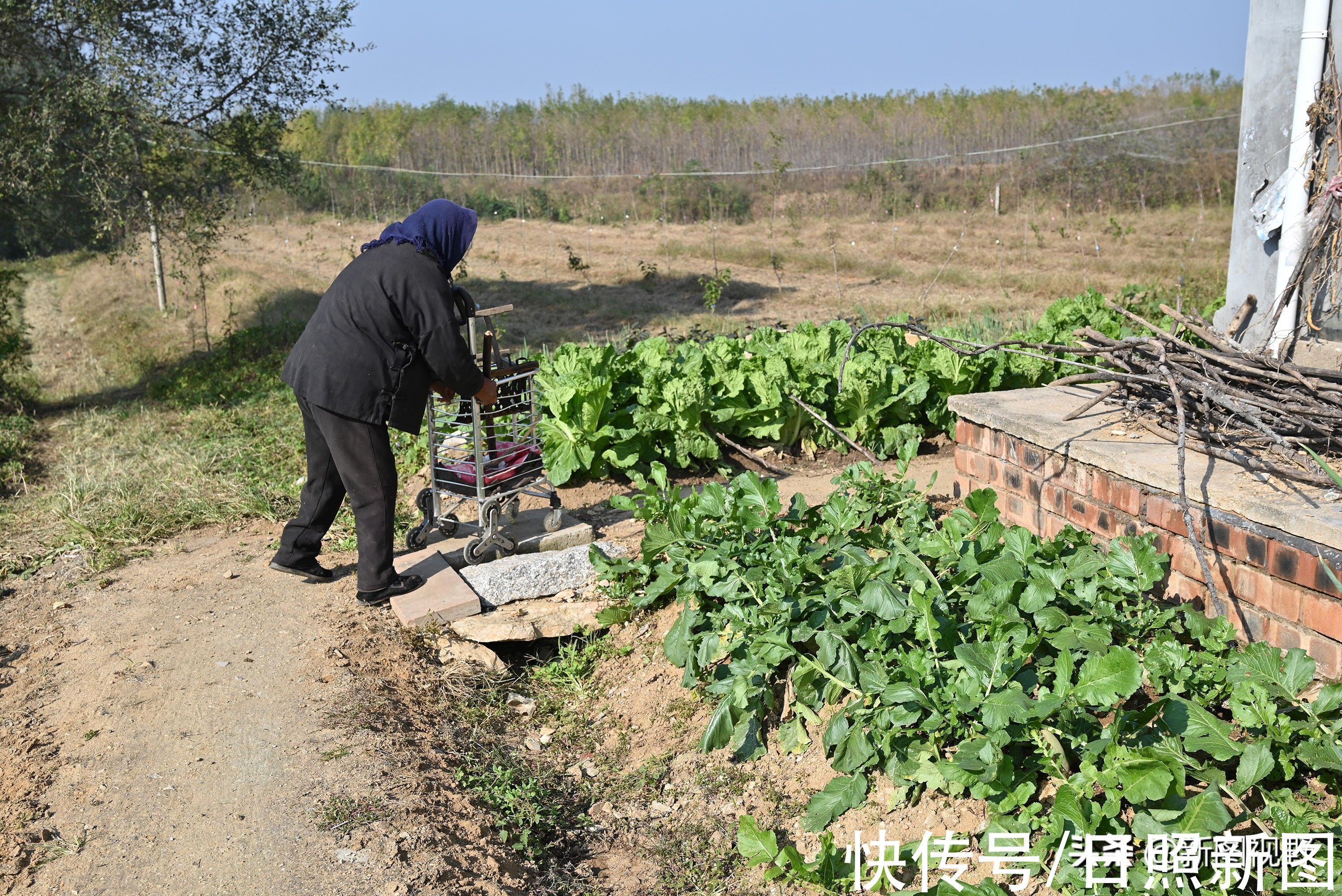 长寿|100岁奶奶,饭前习惯特殊,至今满头黑发,看长寿秘诀是啥