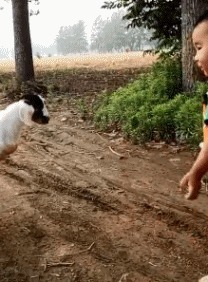 |搞笑GIF:冬天到了,地球有点冷,我给他烧点柴火