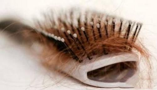 头发是从发根长，还是从发梢长？头发掉了，还会长出来吗？