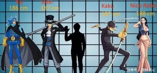 路飞|海贼王全员身高曝光,路飞女帝相差近20厘米,千倍身高差也有!