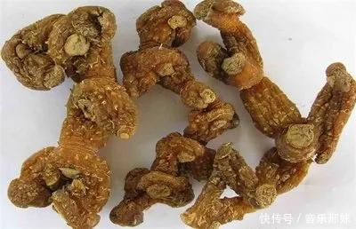 补肾最好的十大中药，除了淫羊藿、肉苁蓉，还有这些