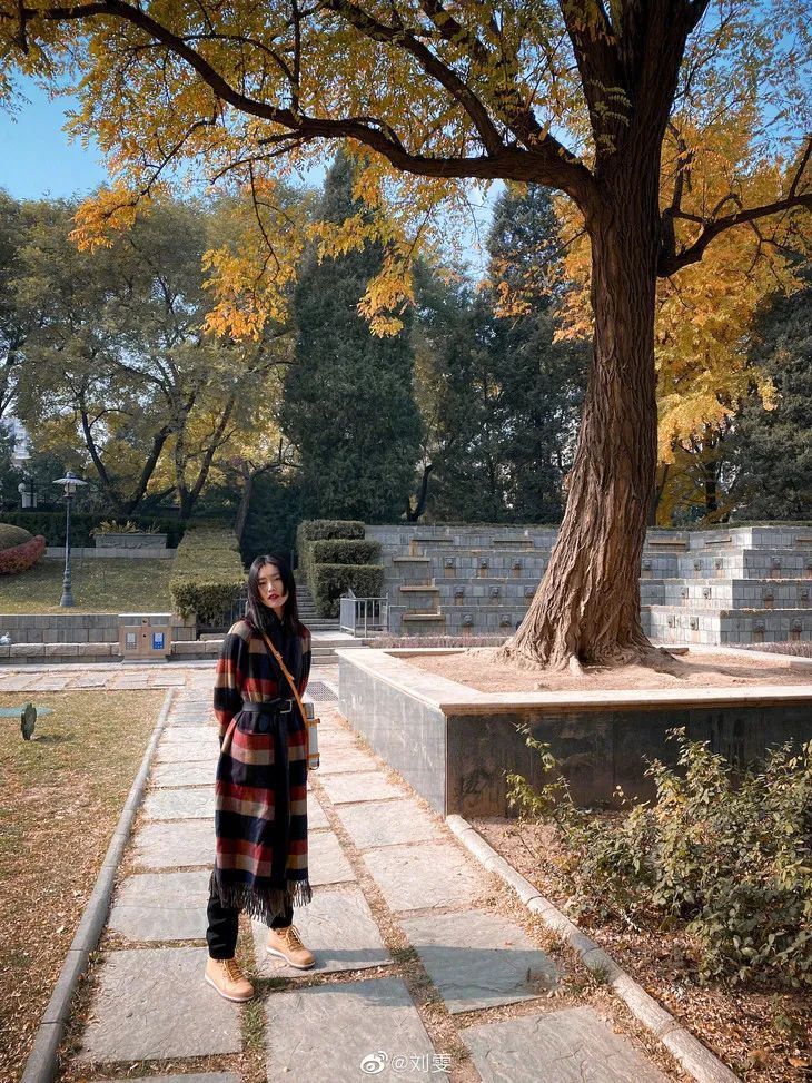  肉丝，别以为我没看出来你穿睡裤出门|下周穿什么 | 肉丝