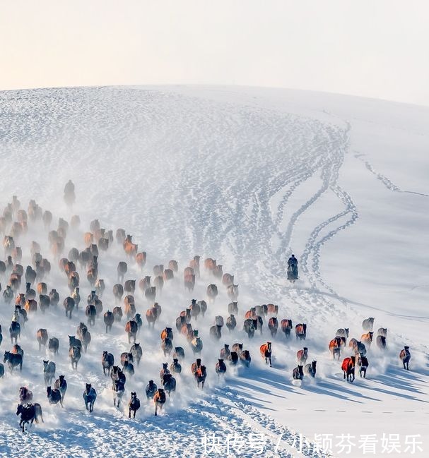 一首《可可托海的牧羊人》唱响春晚,让伊犁惊艳了全世界!