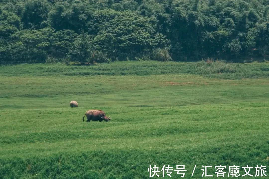 避暑胜地|重庆人私藏的避暑地，人少景美超清凉，挑一个去过22℃的夏天