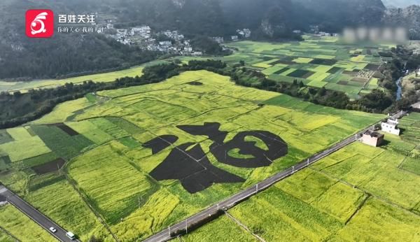 万峰林|听说好多地方都在下雪？贵州这里的春天早就来了