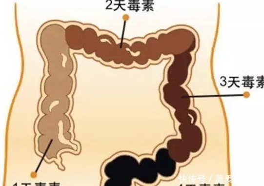没人知道蒸米饭加上它, 一周排出毒素, 让你年轻20岁
