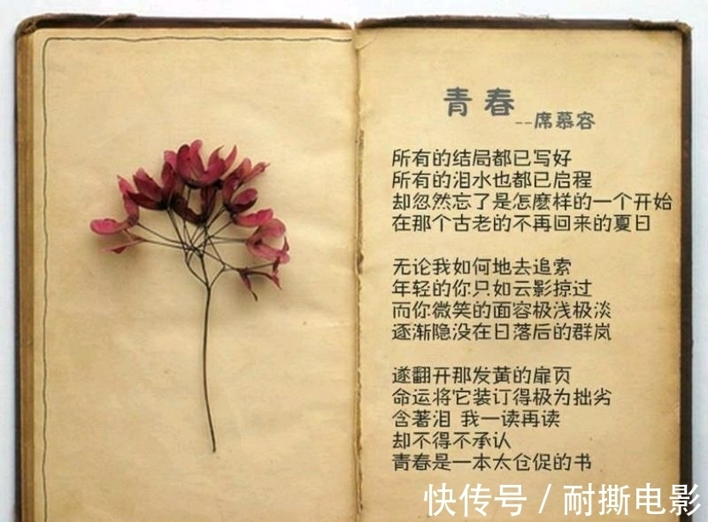 泪水#席慕蓉笔下很感人的一首诗,短短十三行字,写尽了大多数人的青春