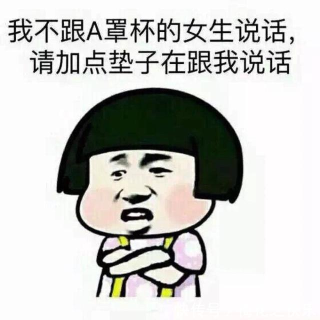 |十条段子:爱河伤心难过,大鹅暖心抗饿