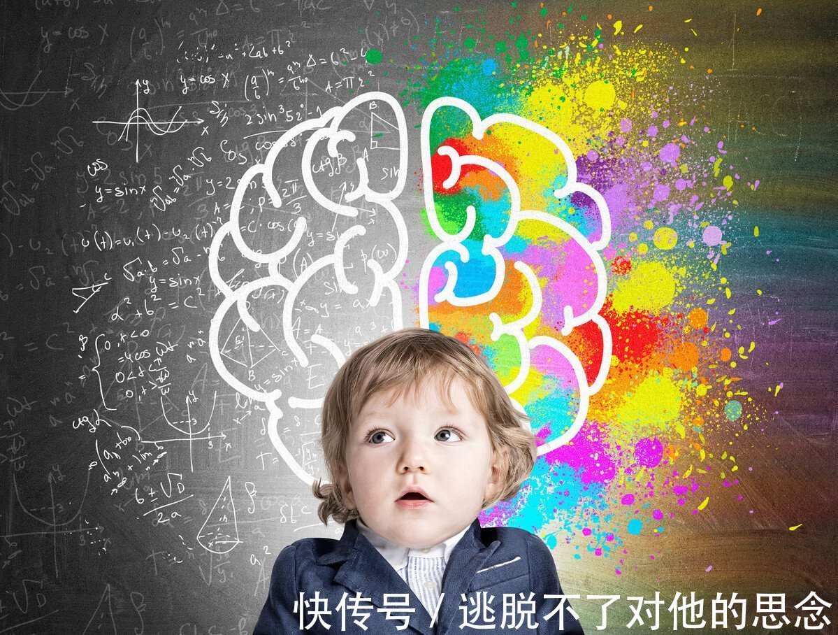 大脑|大脑发达的娃，有不一样的表现，父母不错过，或养出“人生赢家”