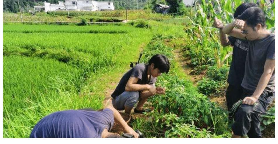 念鄉(xiāng)人周周，被稱男版李子柒，粉絲千萬不帶貨不直播，收入從哪來