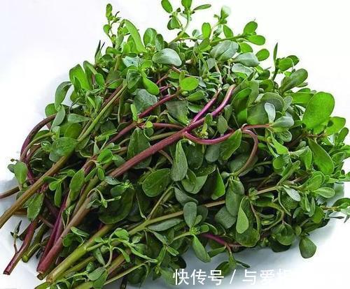 患处|痔疮肉球,痔疮便血怎么治?老中医给的4个治疗痔疮疗法,快速止血消球!