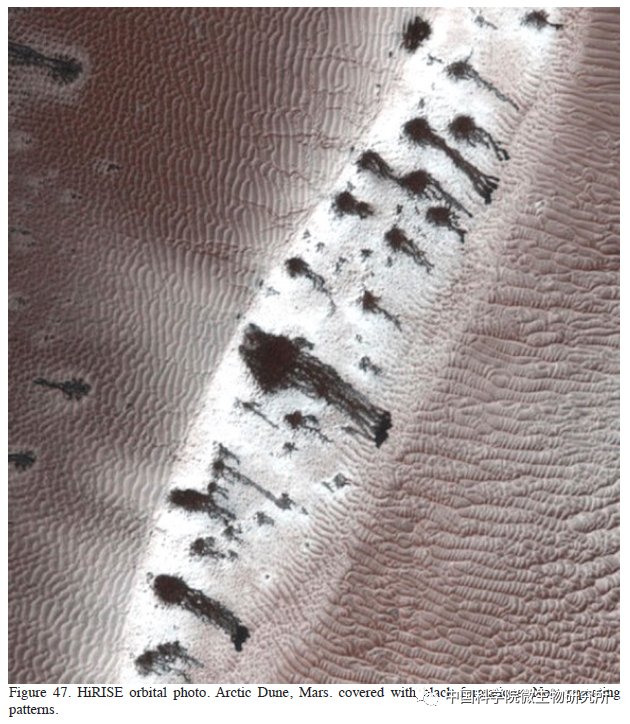 非生物 火星上存在真菌吗？