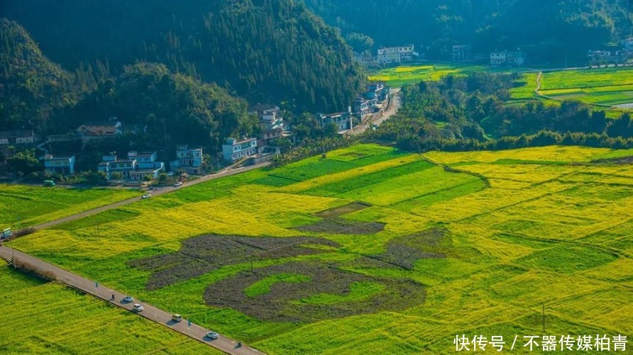 中年|春暖花开游贵州，“花花世界”惹人醉！