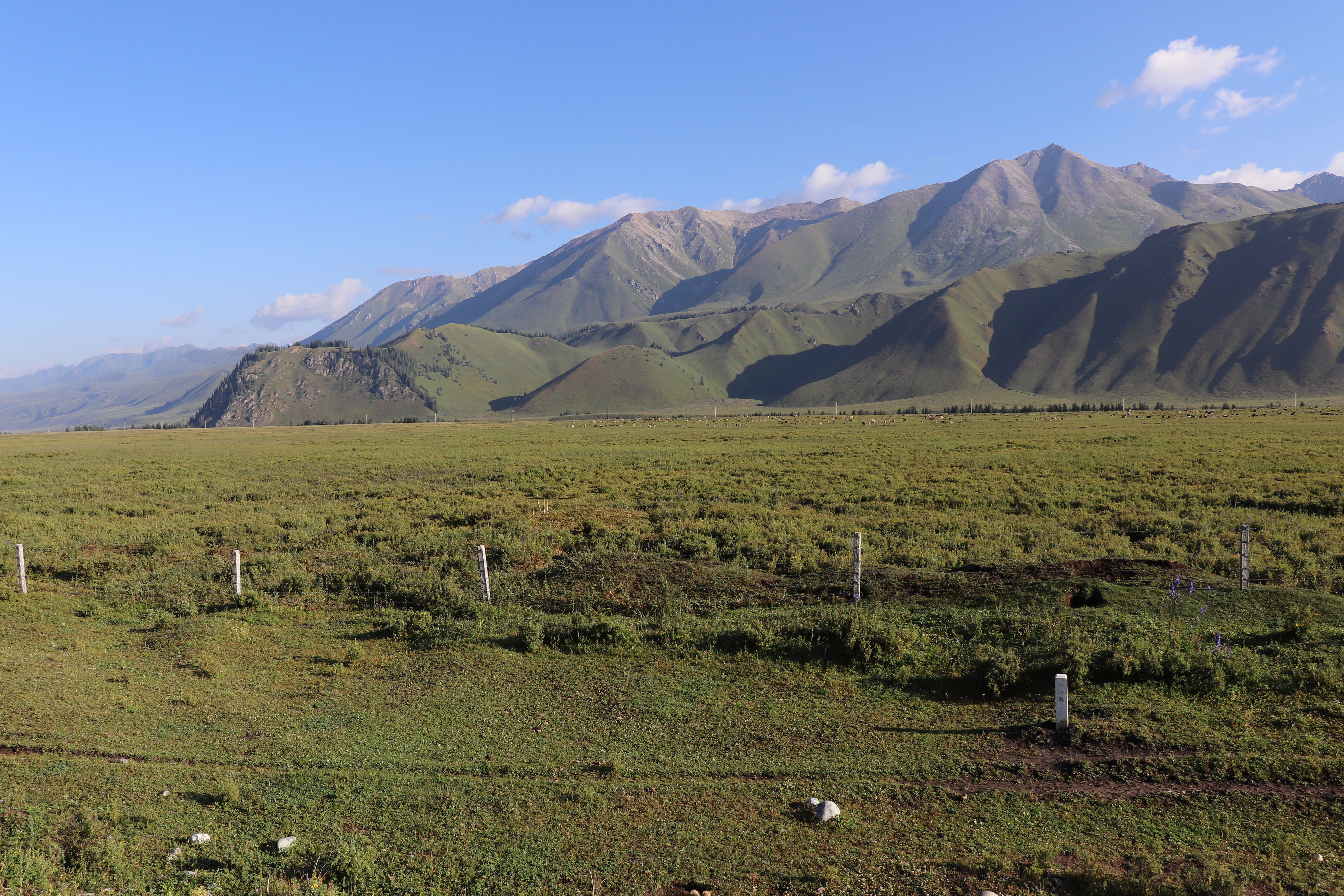 自驾独库公路，饱览天山风情