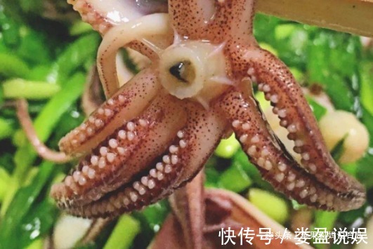 梧桐花|喷香馋人,吃着很过瘾,做法不难,孩子爱吃,不接受任何反驳的菜