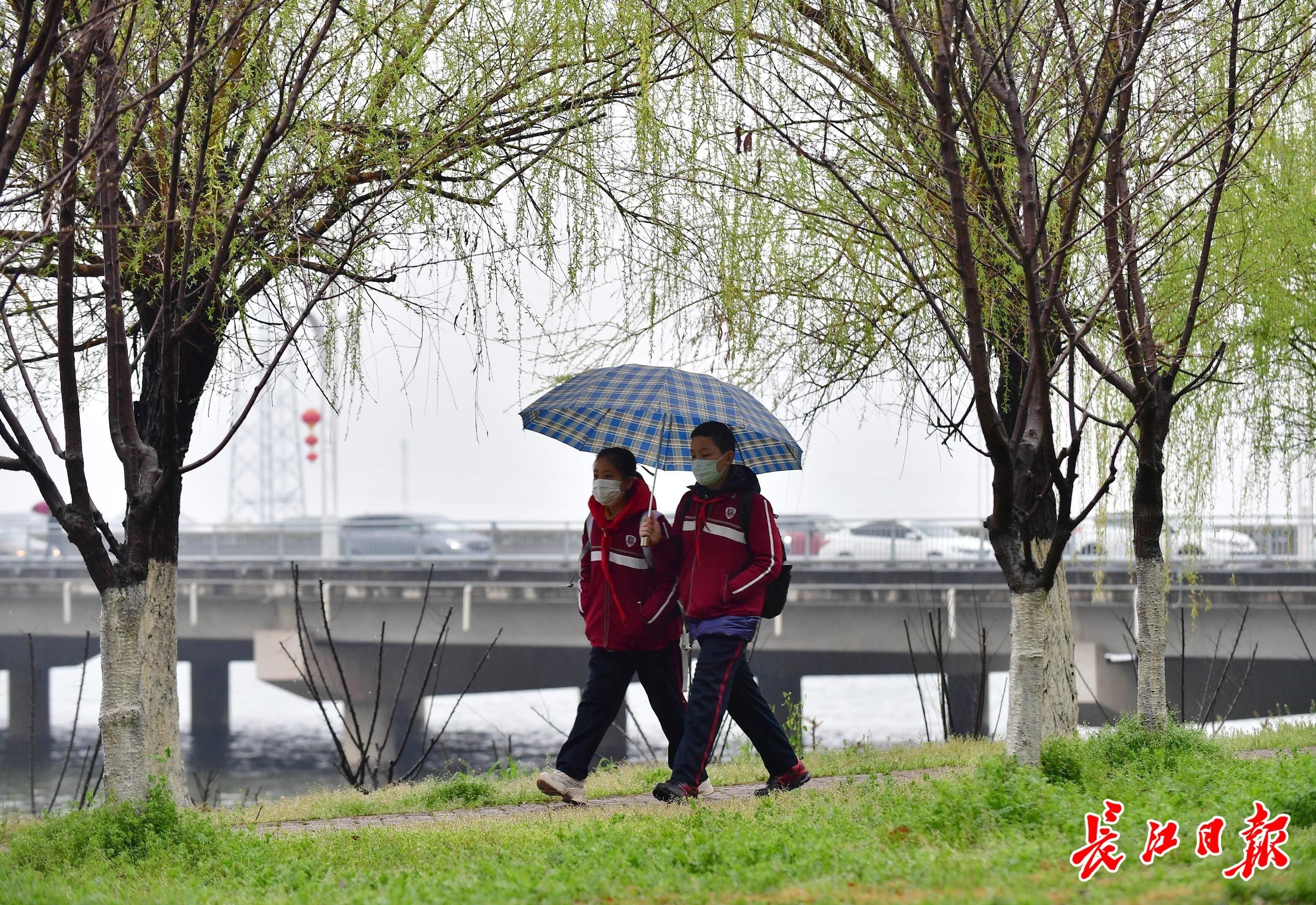 图集|春雨沥沥上学路 | a3776