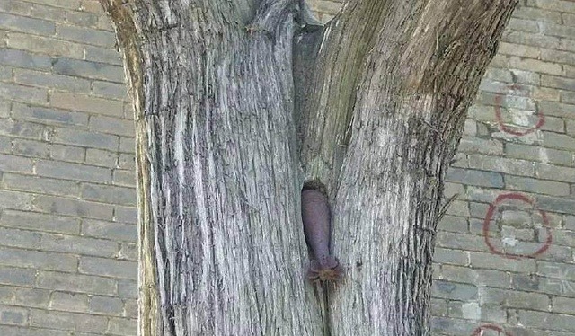 历史上有许多的事情,是科学无法解释的通的。