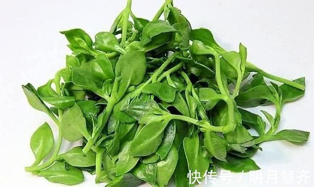 女性|女人有妇科炎症 开水里泡点“它”, 每天多喝点, 炎症远离你